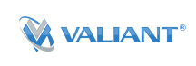 Valiant Machine and Tool